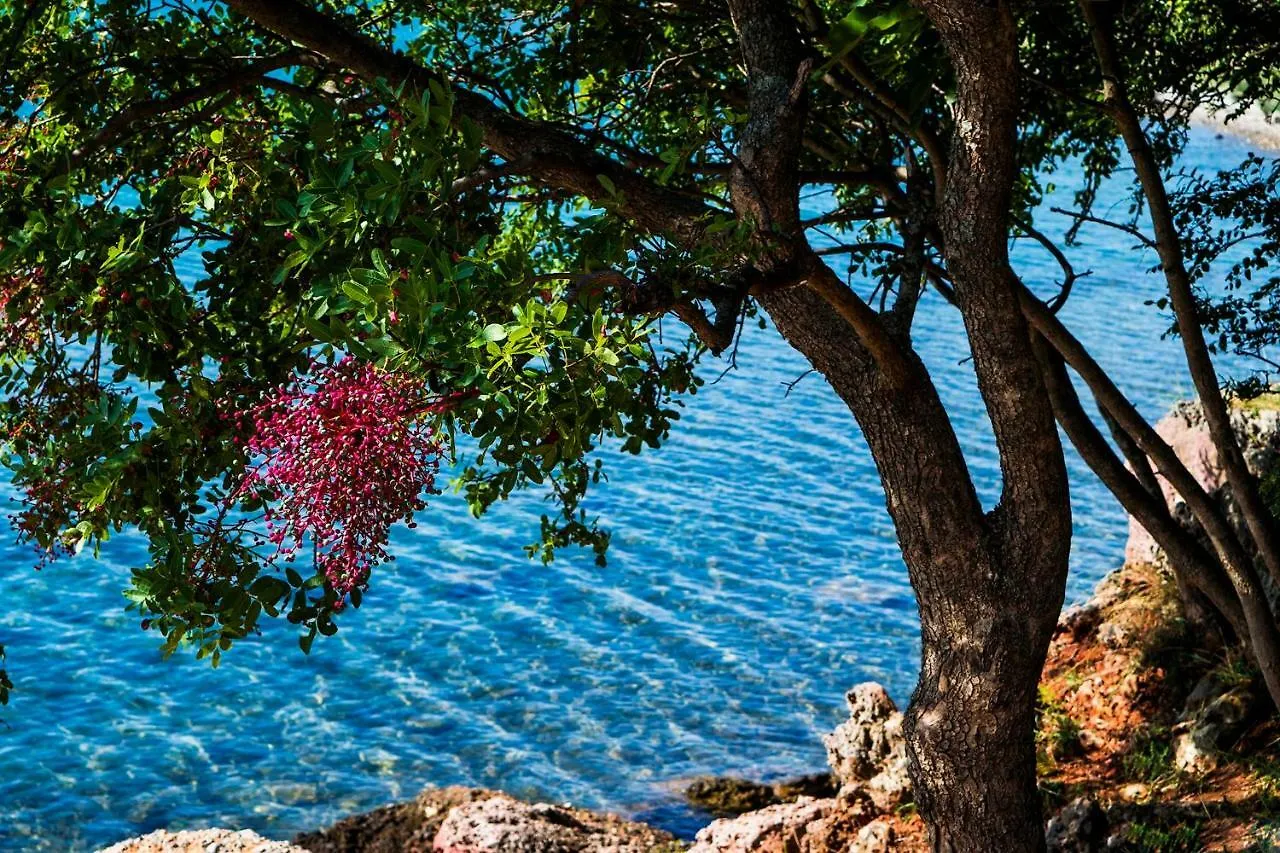 Apartman Bellevue Seline 0*,  Croatia